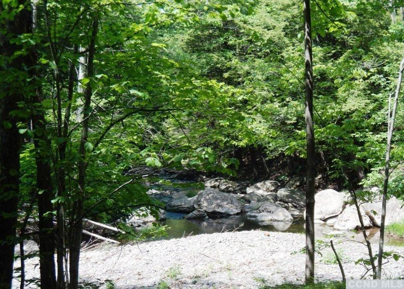 0 South Road Round Top, NY 12473 - Photo 19 of 20 Photo 19