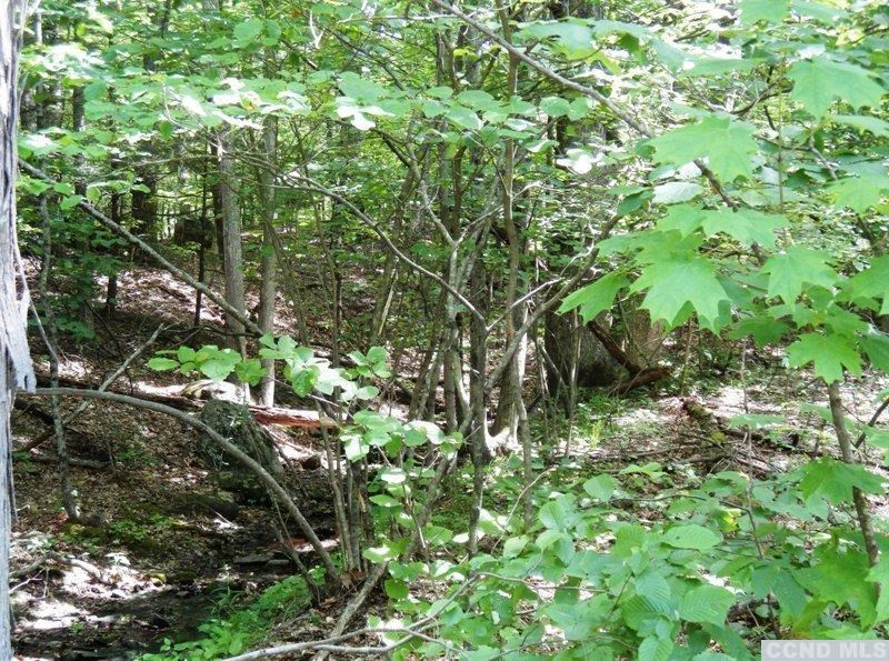 0 South Road Round Top, NY 12473 - Photo 20 of 20 Photo 20