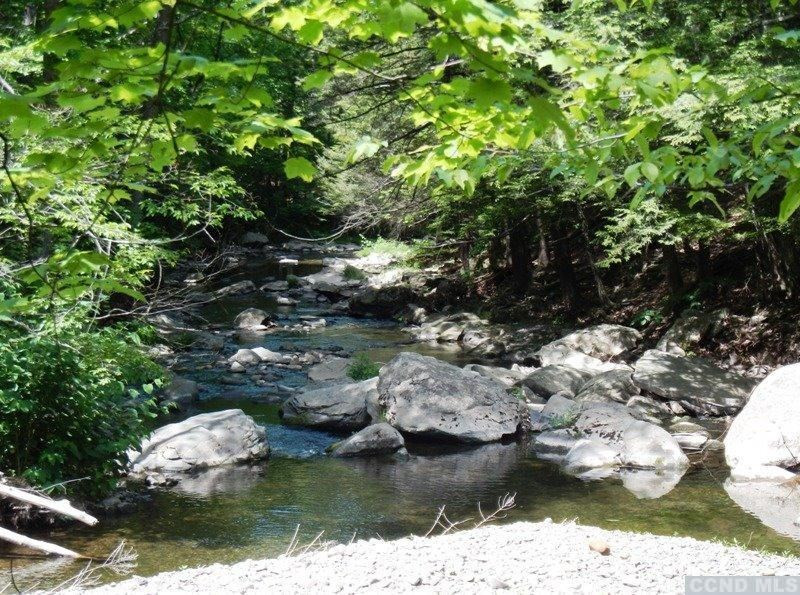 0 South Road Round Top, NY 12473 - Photo 6 of 20 Photo 6