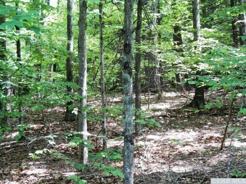 0 South Road Round Top, NY 12473 - Photo 7 of 20 Photo 7