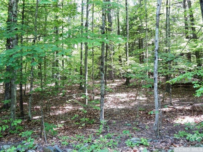 0 South Road Round Top, NY 12473 - Photo 8 of 20 Photo 8