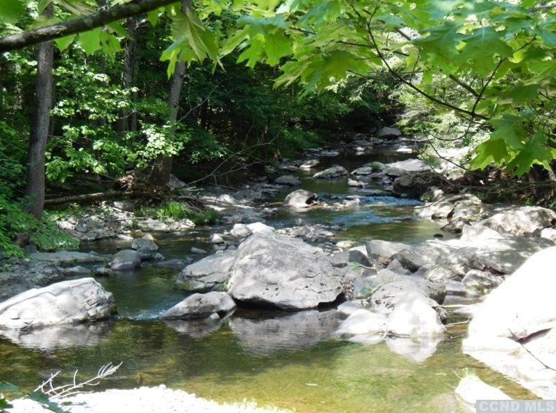 0 South Road Round Top, NY 12473 - Photo 10 of 20 Photo 10