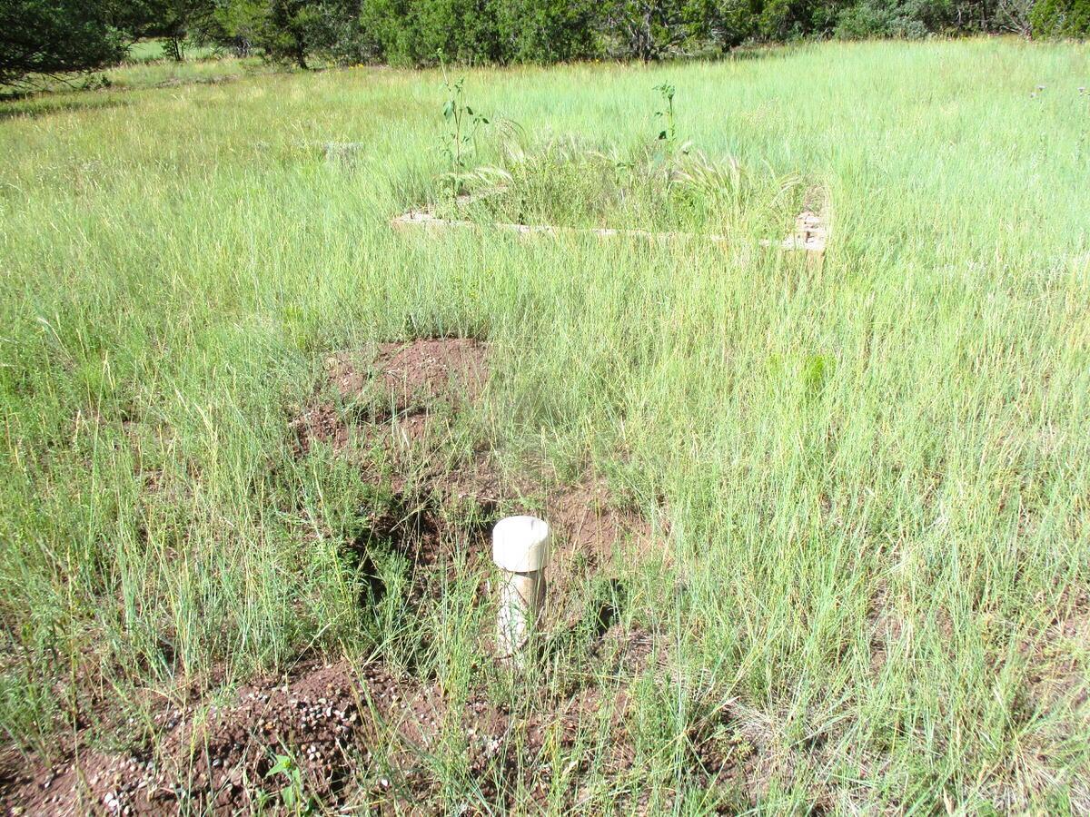 5-6 Black Bear Road Ramah, NM 87321 - Photo 8 of 64 Gallery Image 8