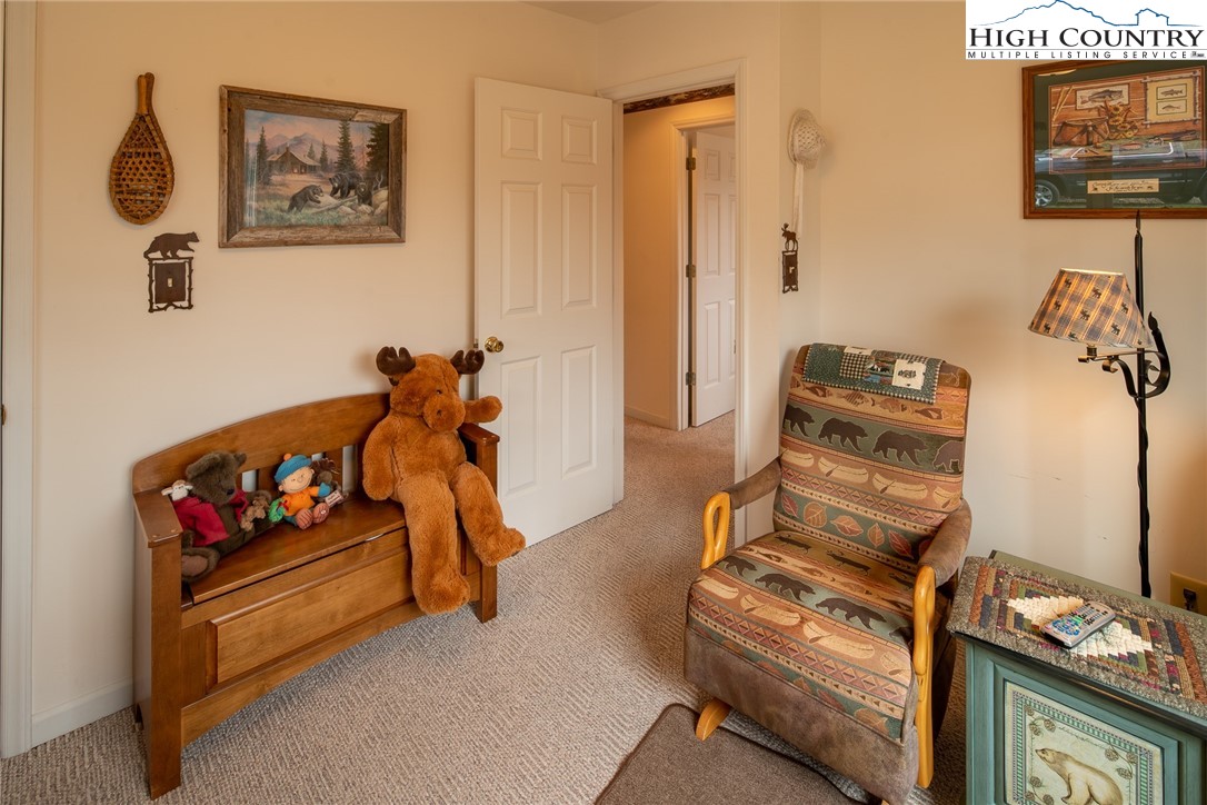 150 Blueridge View Trail Boone, NC 28607 - Photo 21 of 38 Gallery Image 21