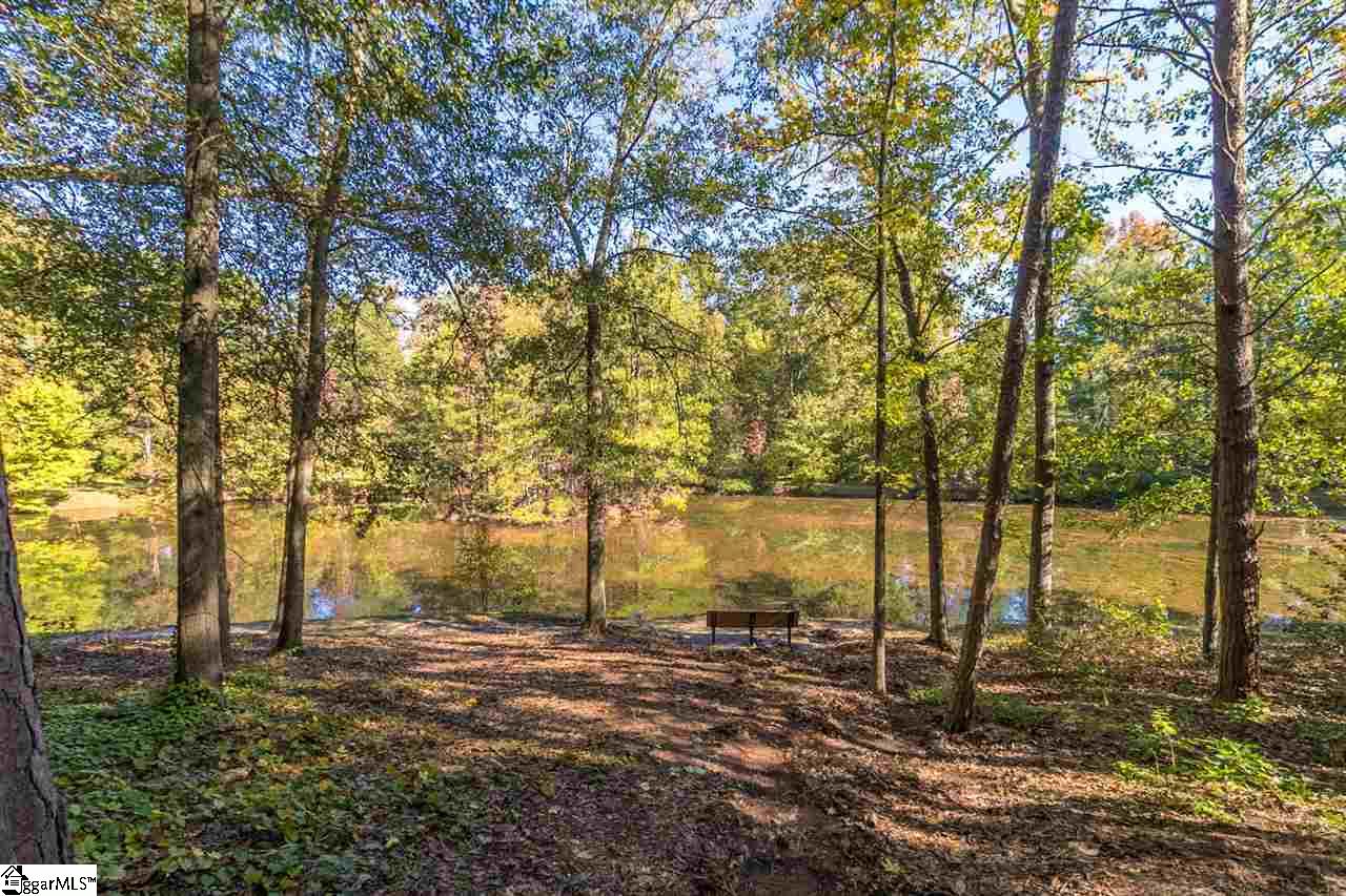 207 Stone Ridge Road Greer, SC 29650 - Photo 30 of 31 Gallery Image 30