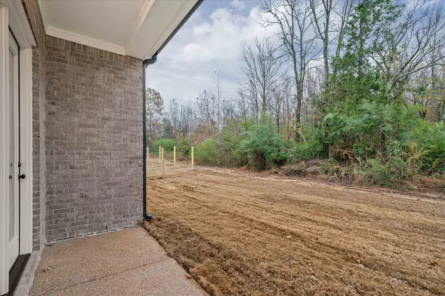 a view of a backyard