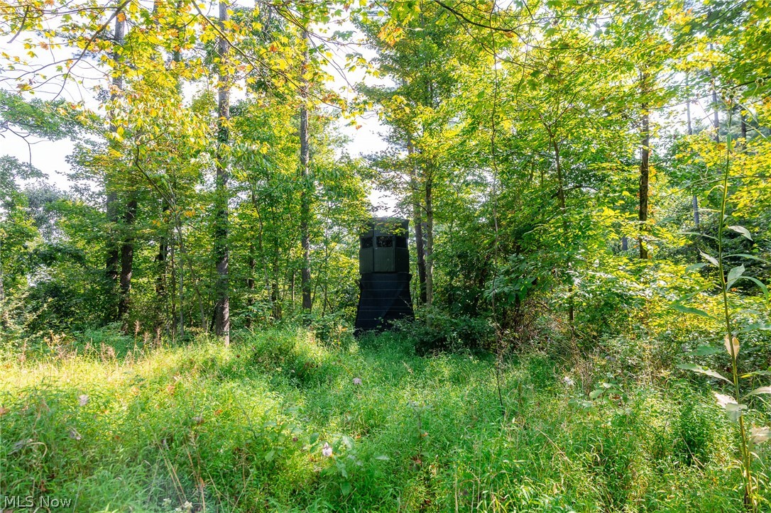 Pumpkin Ridge Road Quaker City, OH 43773 - Photo 11 of 32 Gallery Image 11