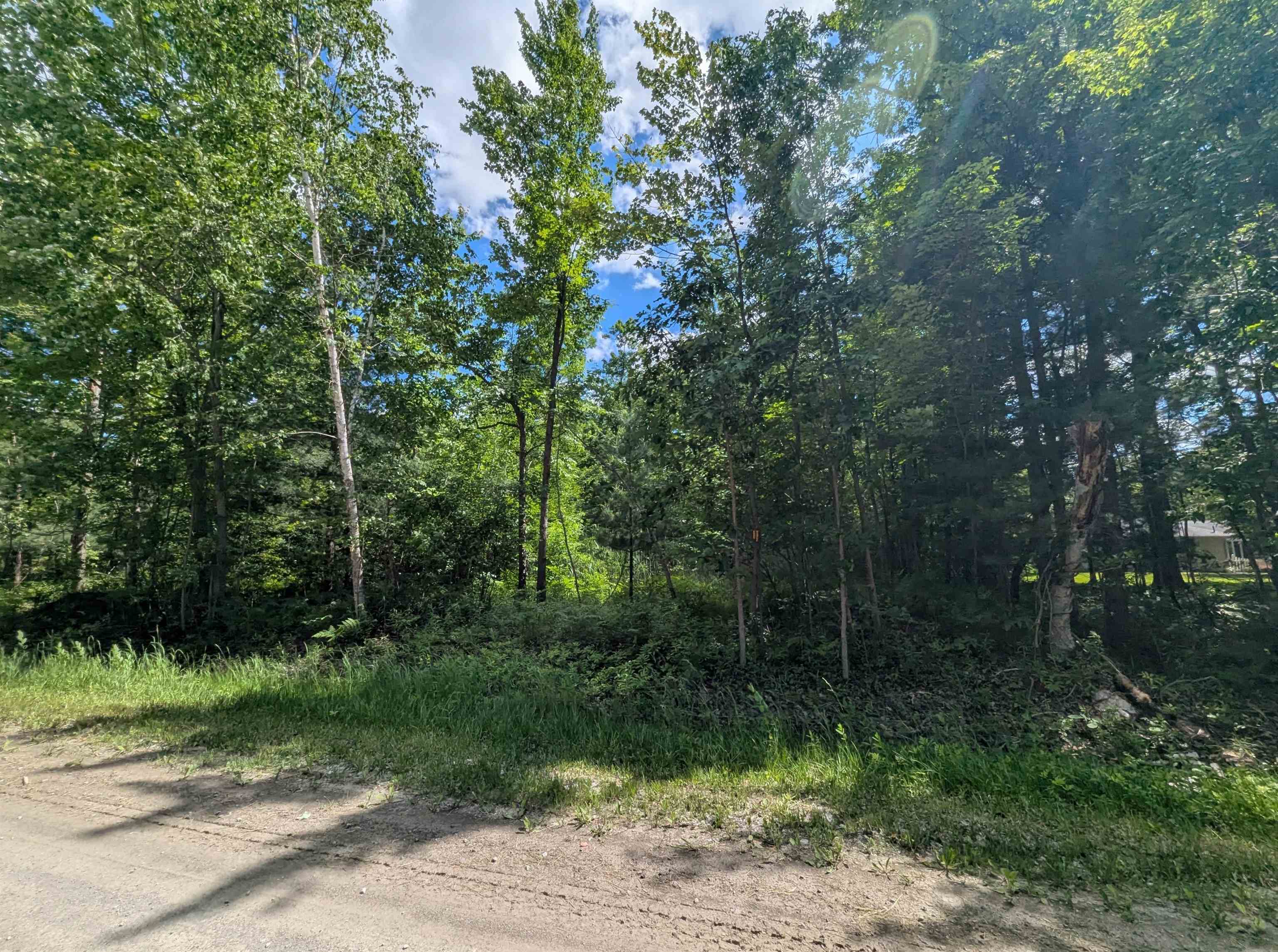 N/a Bordeau Road Standish, MI 48658 - Photo 8 of 8