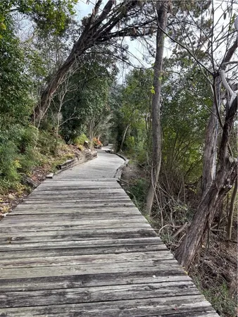 a view of a pathway with a yard