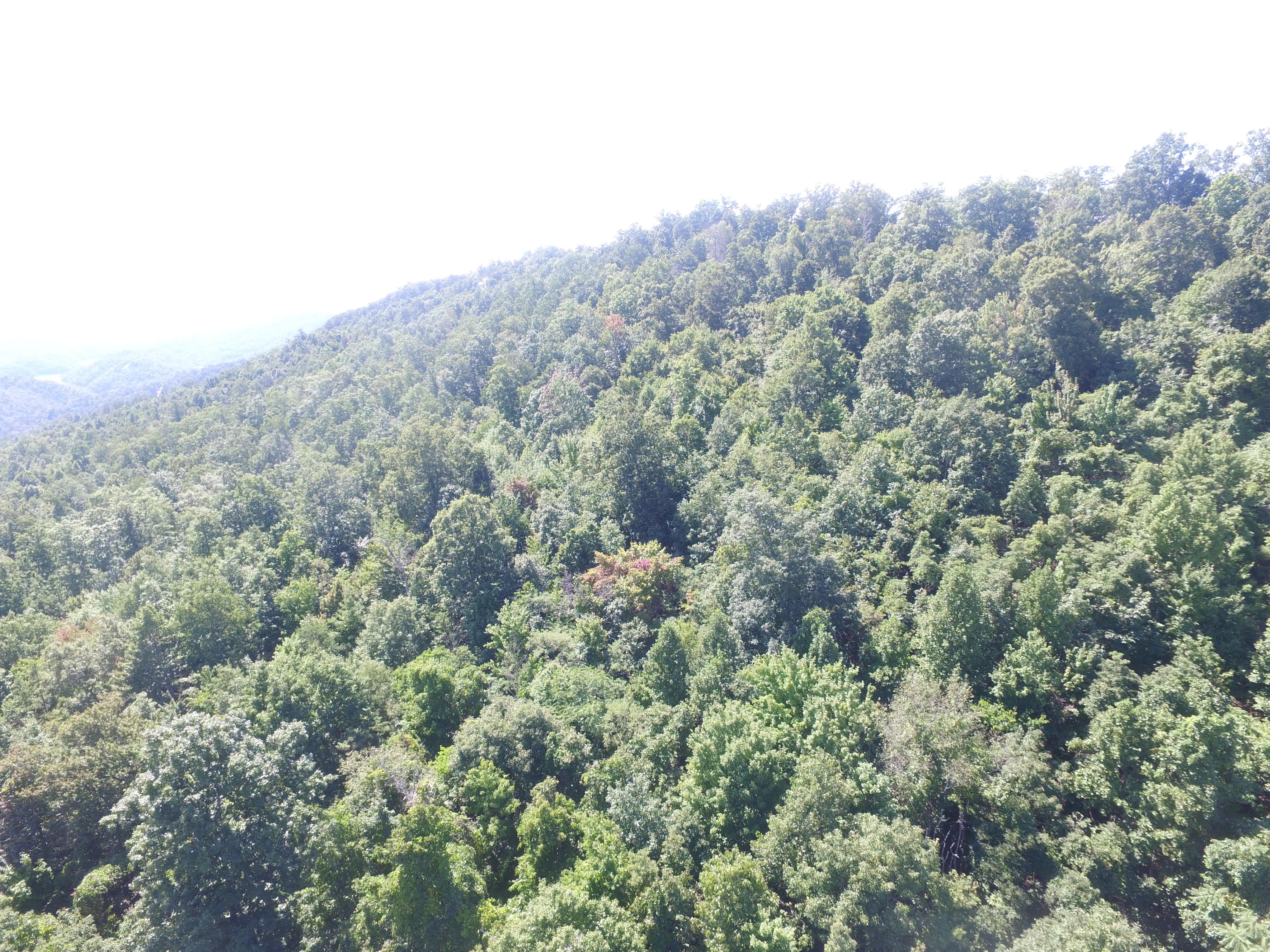 Lot 215 Clinch View Road New Tazewell, TN 37825 - Photo 1 of 10 DJI_0163