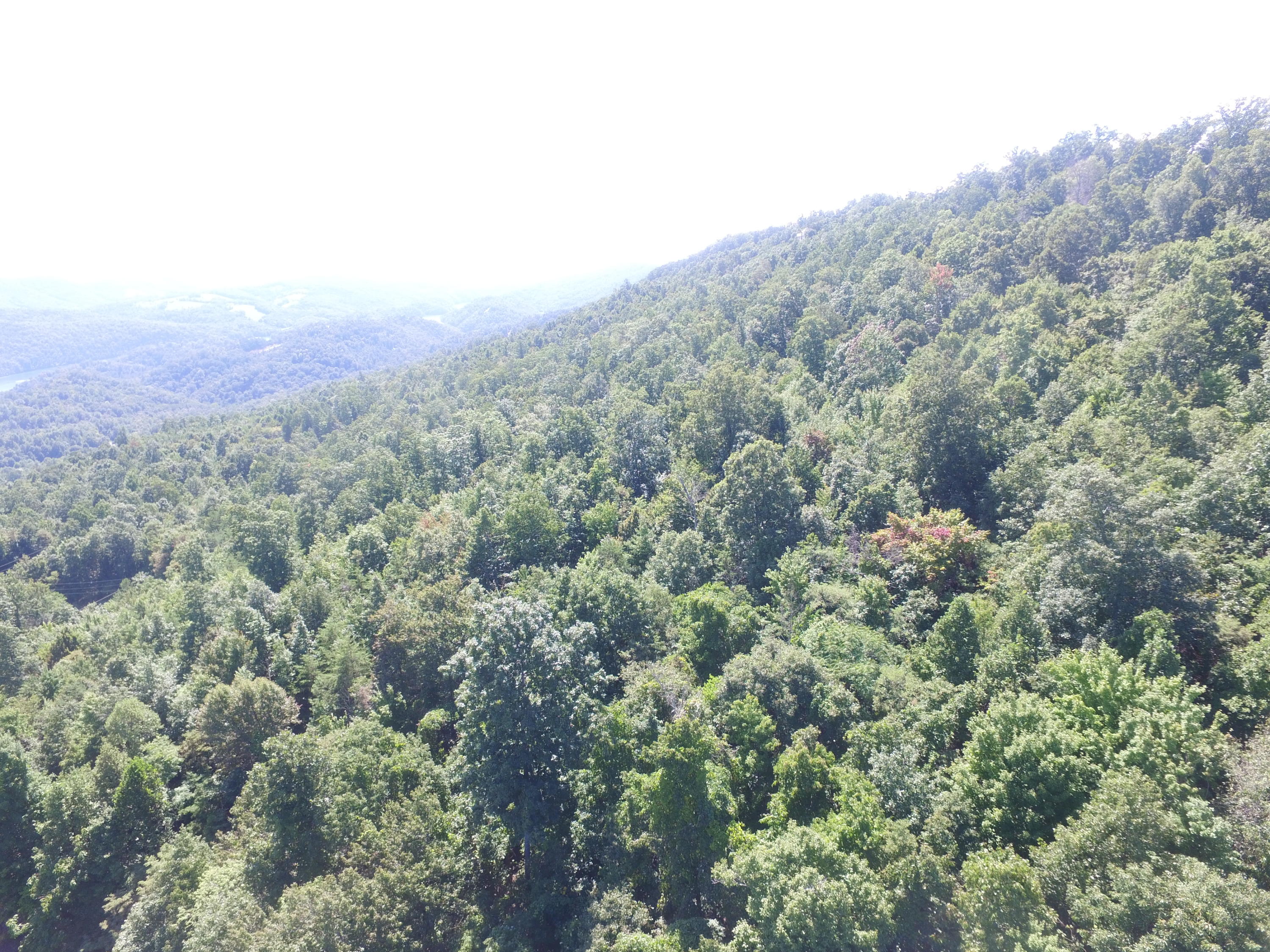 Lot 215 Clinch View Road New Tazewell, TN 37825 - Photo 2 of 10 DJI_0164