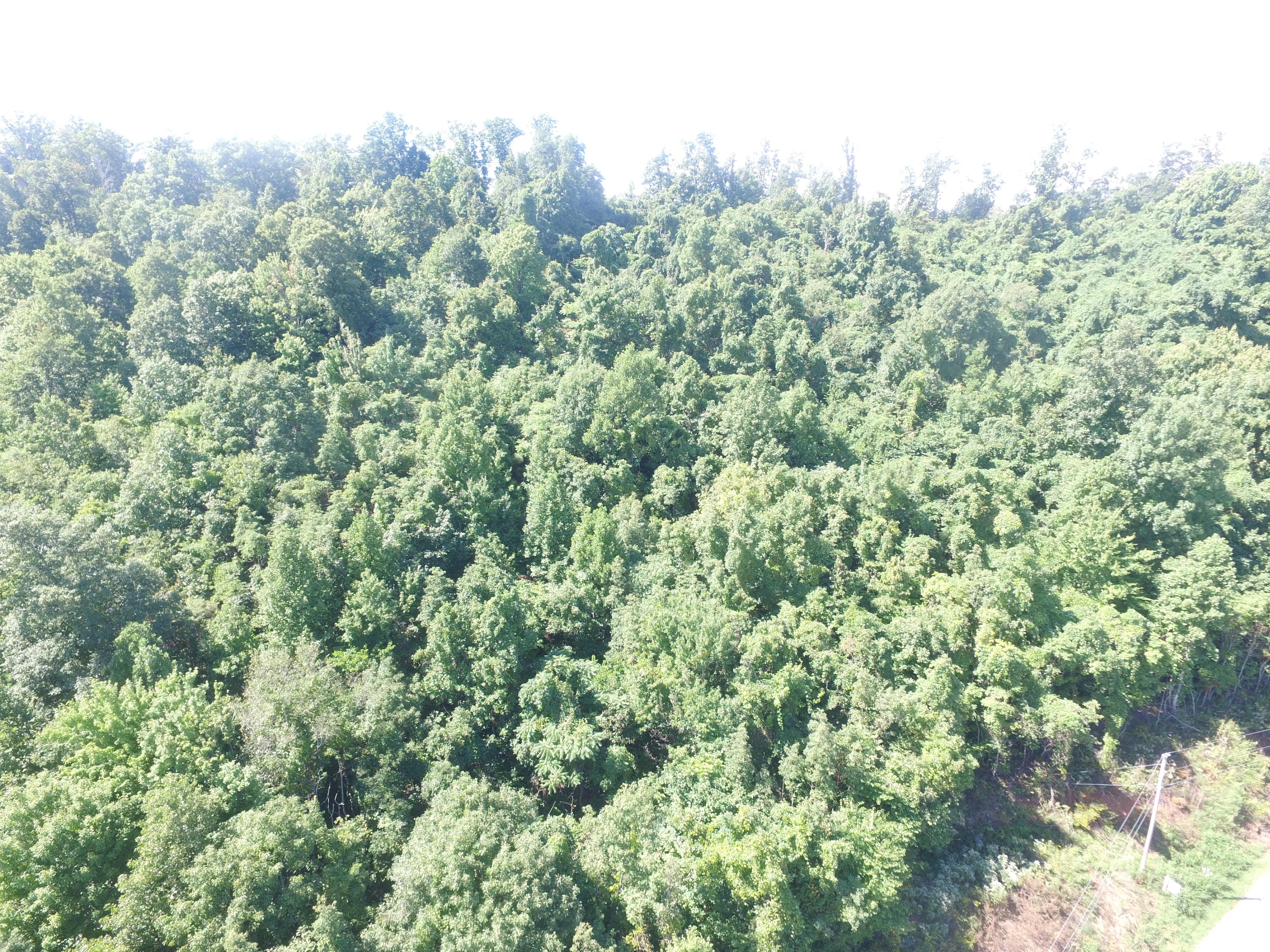 Lot 215 Clinch View Road New Tazewell, TN 37825 - Photo 9 of 10 DJI_0172