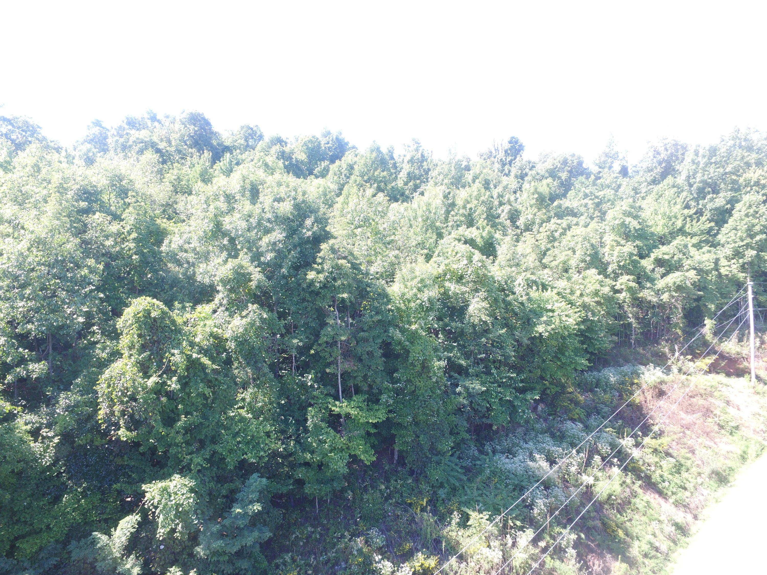 Lot 215 Clinch View Road New Tazewell, TN 37825 - Photo 10 of 10 DJI_0173
