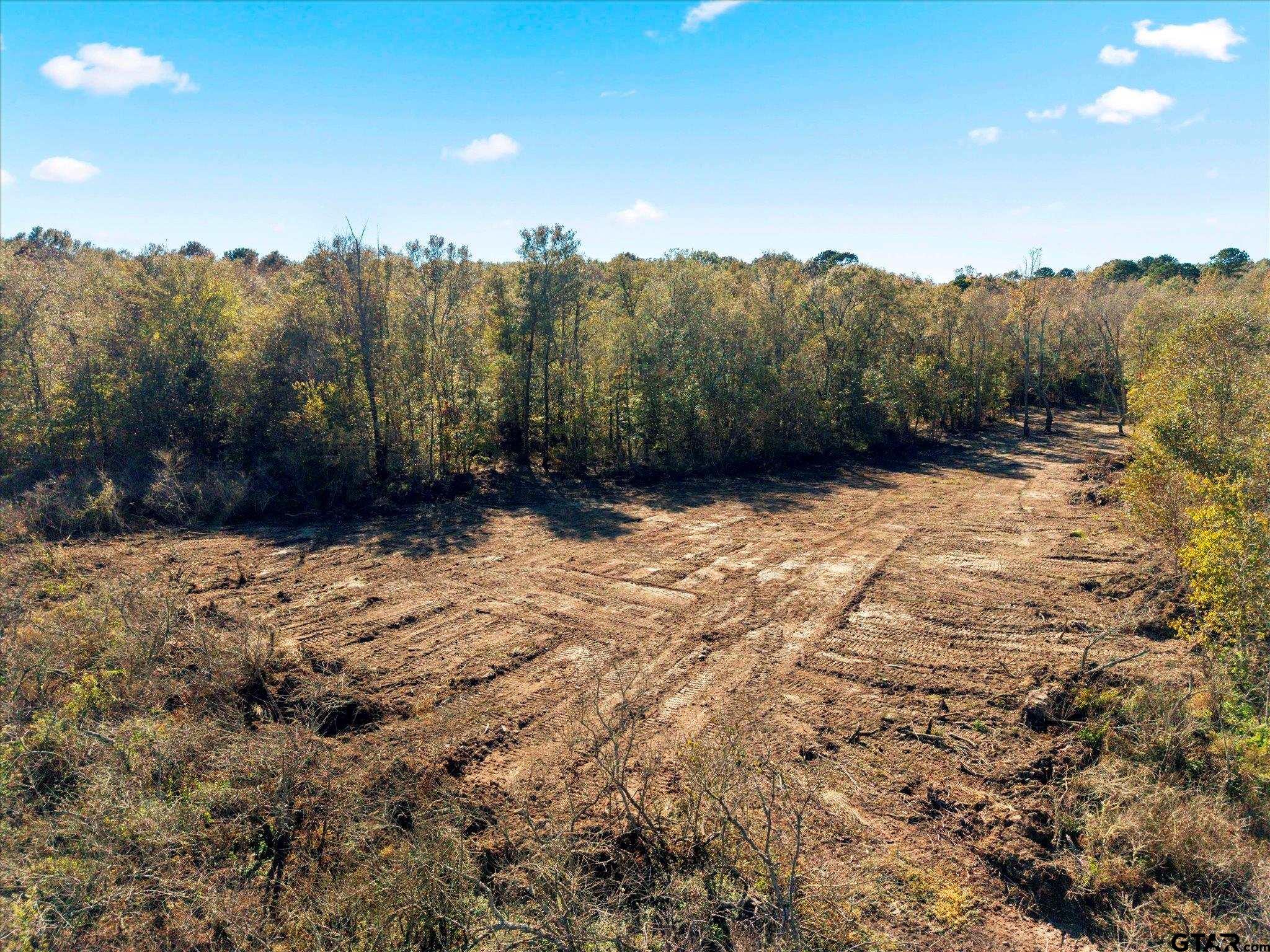 Tbd Woodchuck Road Leesburg, TX 75451 - Photo 21 of 34 Gallery Image 21