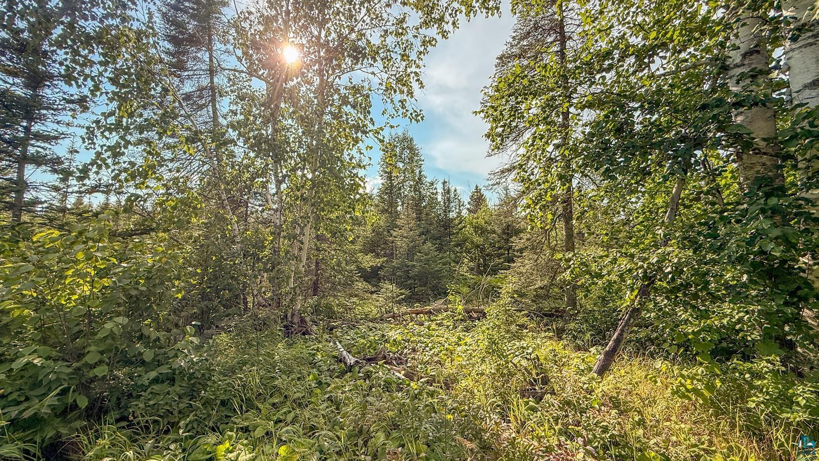 Xxx1 Mink Ranch Road Lutsen, MN 55612 - Photo 1 of 19 Gallery Image 1