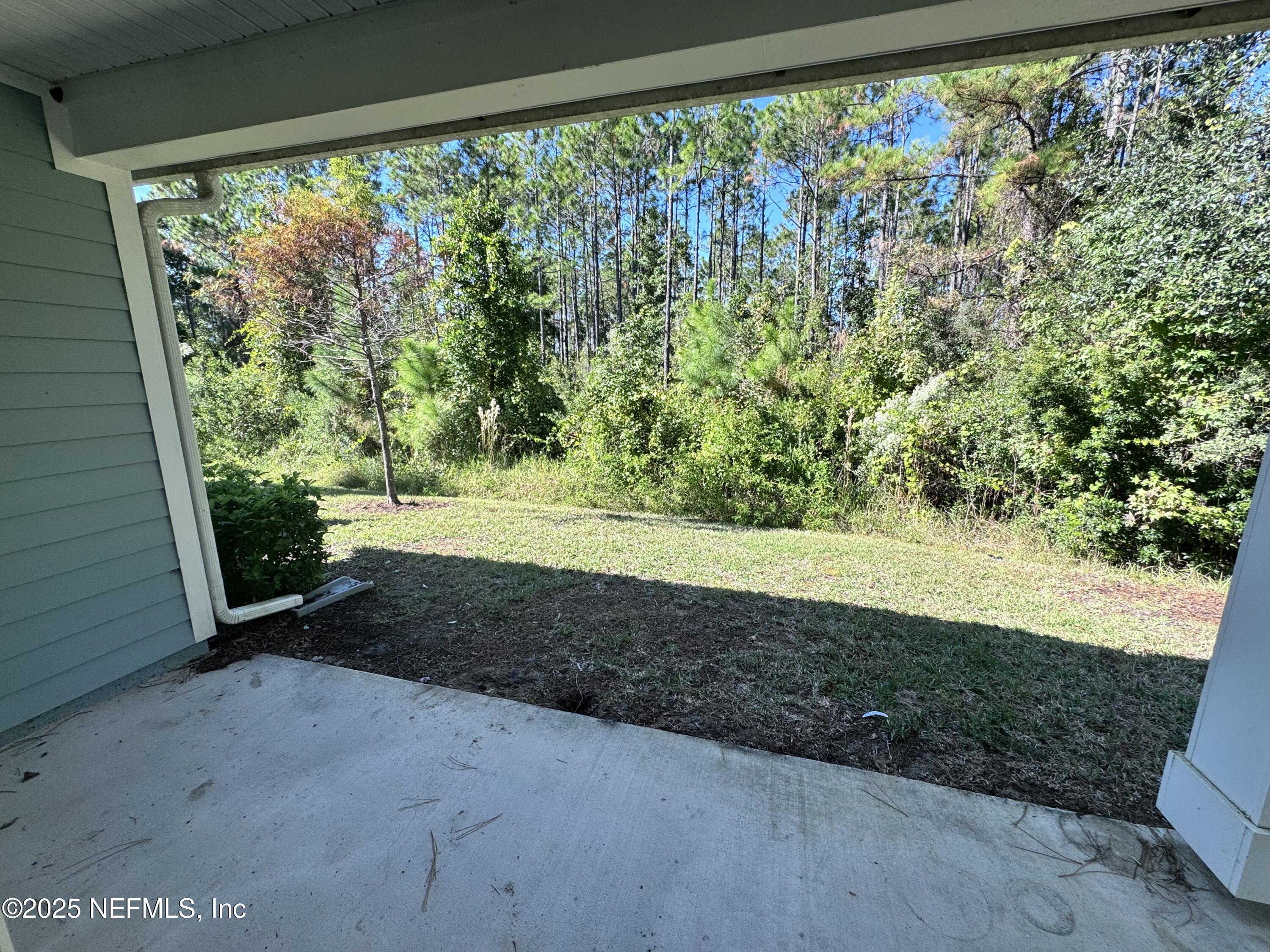 156 Charlie Way St. Augustine, FL 32095 - Photo 27 of 33 a view of backyard with green space