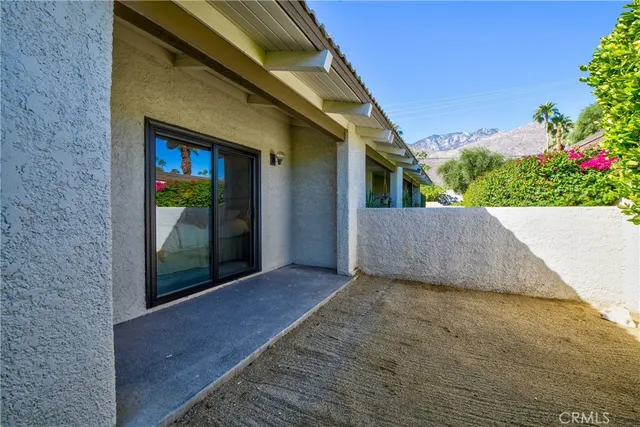 a view of backyard with plants