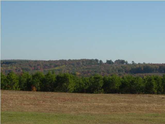 346 Jim Stewart Road Dunlap, TN 37327 - Photo 1 of 3 Primary Photo