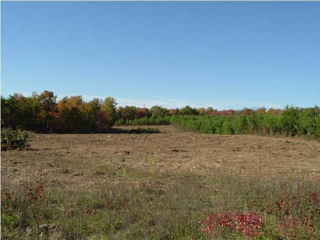 346 Jim Stewart Road Dunlap, TN 37327 - Photo 2 of 3 Additional Photo