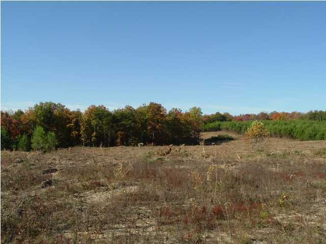 346 Jim Stewart Road Dunlap, TN 37327 - Photo 3 of 3 Additional Photo