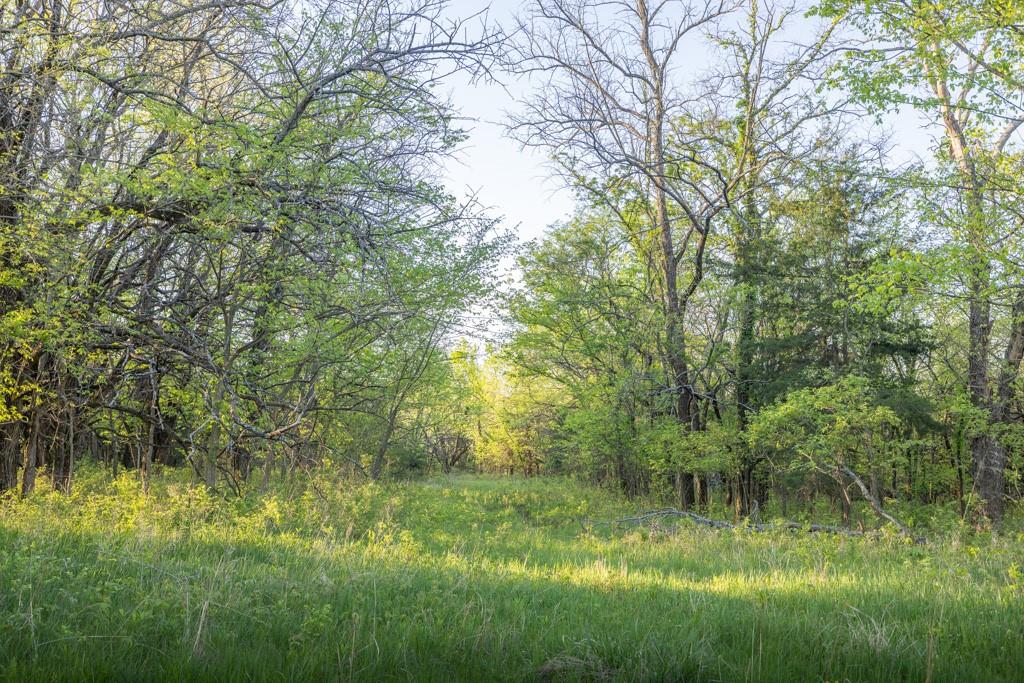 0 North 600th Road Overbrook, KS 66524 - Photo 22 of 39