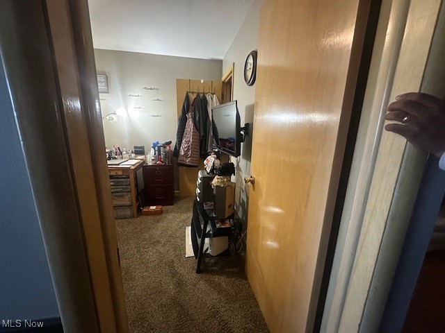 9717 Alexander Road Cleveland, OH 44125 - Photo 8 of 13 Corridor with dark colored carpet