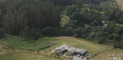 5655 Roblar Road Petaluma, CA 94952 - Photo 1 of 1 a view of a back yard
