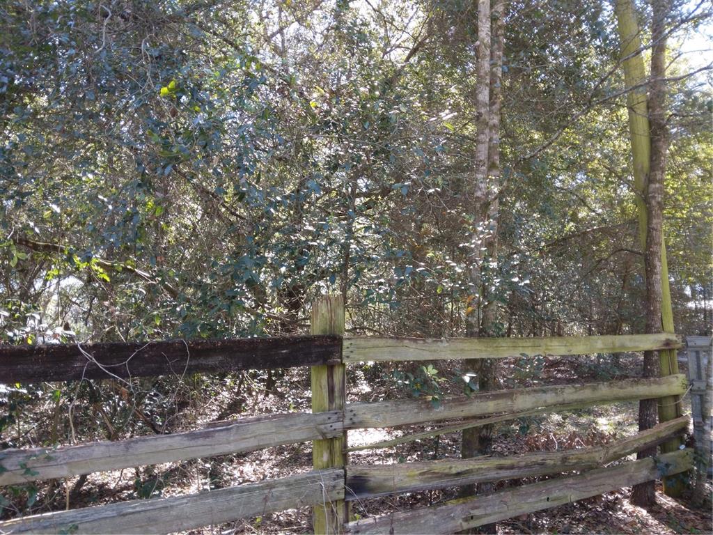 4824 Sadler Road Apopka, FL 32712 - Photo 1 of 1 Gallery Image 1