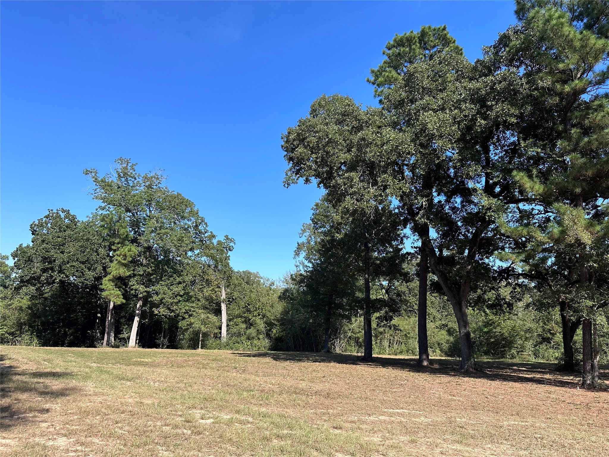 5.3-ac Tbd Spring Branch Road Montgomery, TX 77316 - Photo 22 of 32 Gallery Image 22