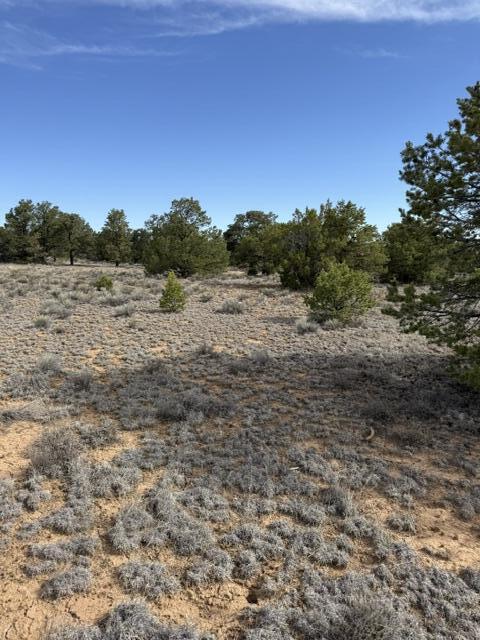 113 Rockhouse Road Ramah, NM 87357 - Photo 16 of 20 Gallery Image 16