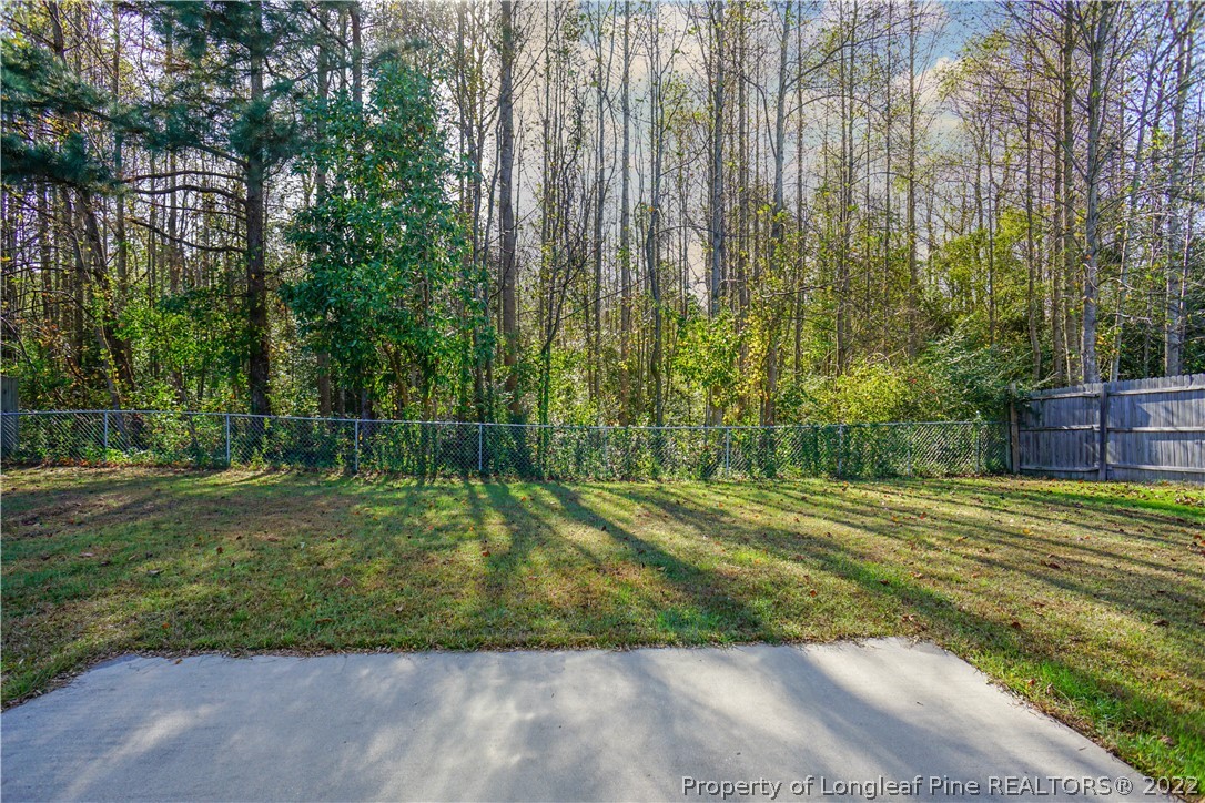286 Cape Fear Road Raeford, NC 28376 - Photo 45 of 46 a view of a backyard