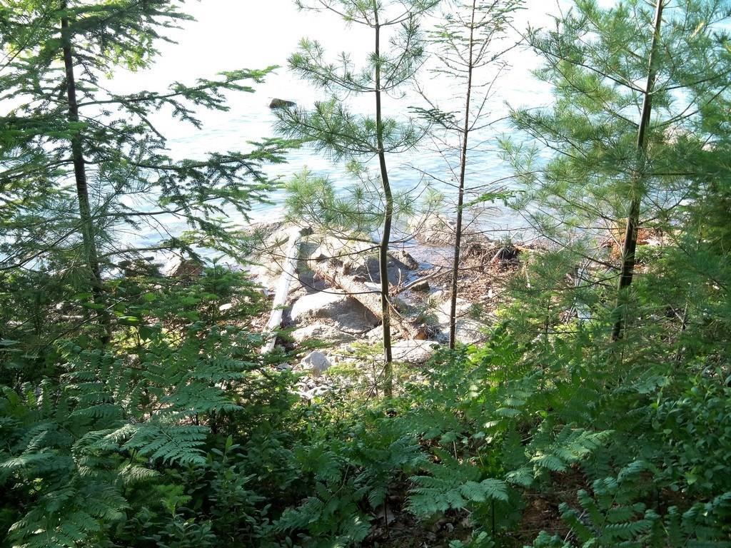 54 Evergreen Point Road Sullivan, ME 04664 - Photo 11 of 28 Photo
