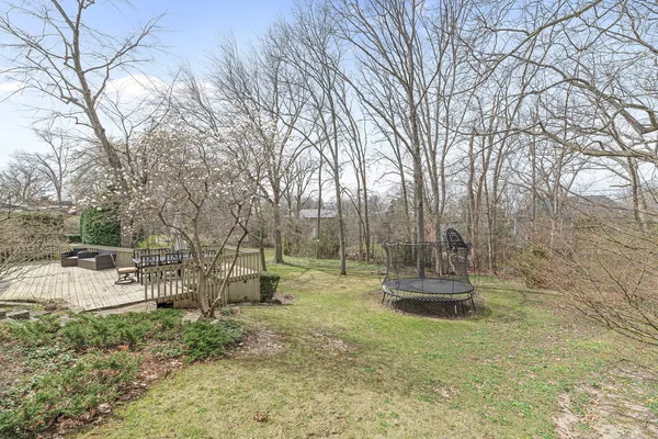 a view of a chairs and table in the backyard