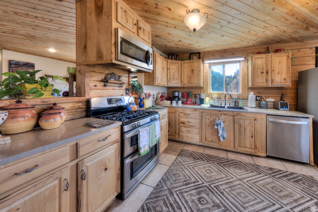 75 Wray Mesa Road La Sal, UT 84530 - Photo 23 of 59 Gallery Image 23