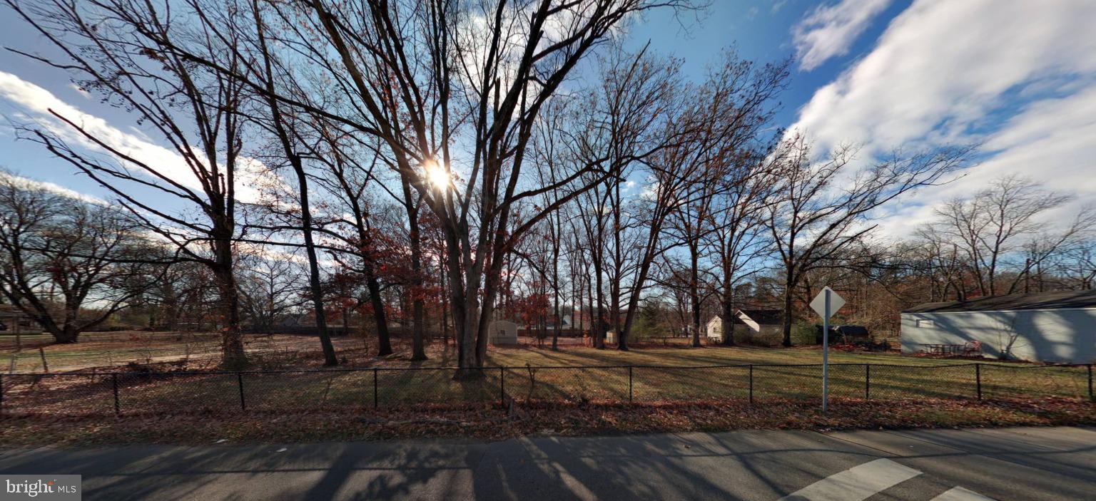 9130 D'Arcy Road Upper Marlboro, MD 20774 - Photo 7 of 38 Sunlit trees in tranquil setting.