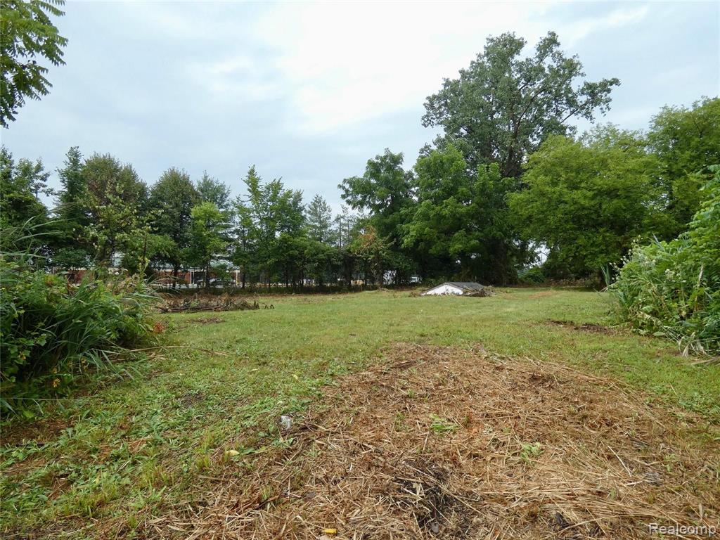 21332 Dix Toledo Road Woodhaven, MI 48183 - Photo 27 of 33
