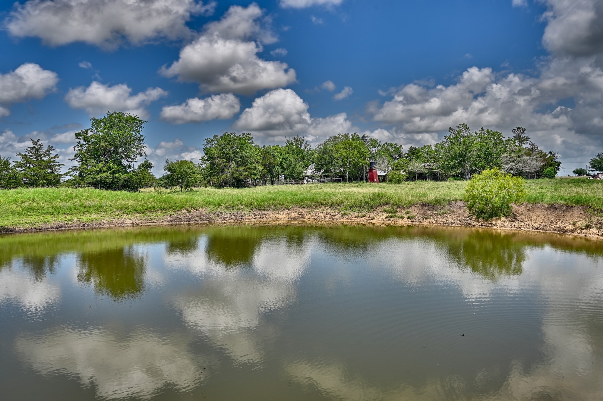 5208 Mensik Road Schulenburg, TX 78956 - Photo 13 of 18 a view of a lake in middle of forest