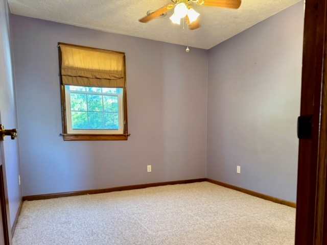 3725 North Jugtown Road Morris, IL 60450 - Photo 25 of 55