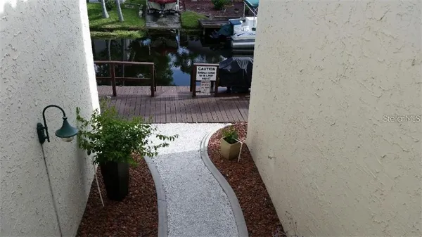 a close up of a potted plant