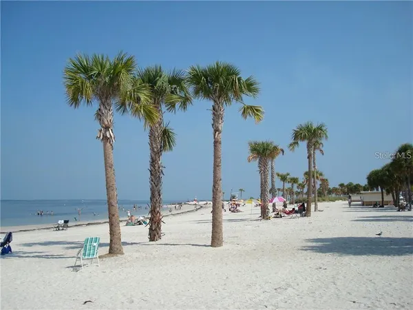 a view of tall palm trees