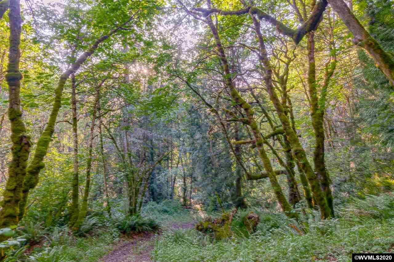 31405 South Wright Road Molalla, OR 97038 - Photo 5 of 36 Gallery Image 5