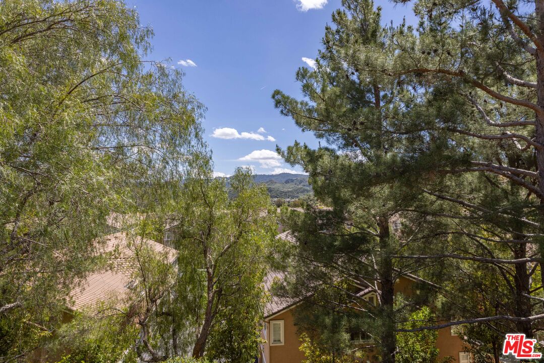 25434 Fitzgerald Avenue Stevenson Ranch, CA 91381 - Photo 53 of 54