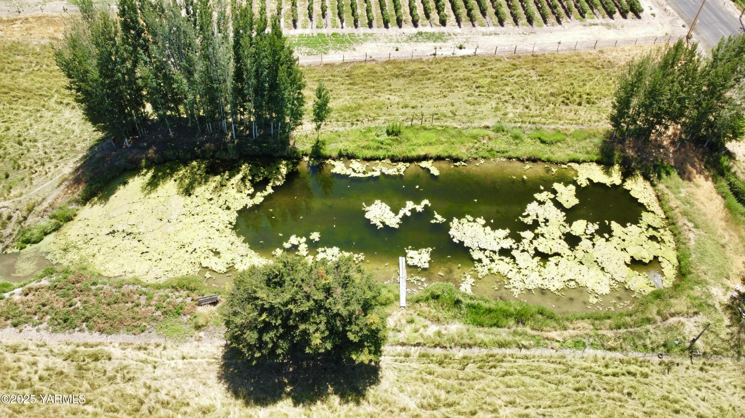3321 Bethany Road Sunnyside, WA 98944 - Photo 22 of 24 a view of lake from a yard
