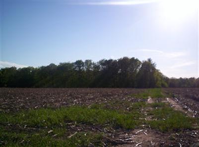 North Gravel Ridge Road Coral, MI 49322 - Photo 2 of 7 Additional Photo