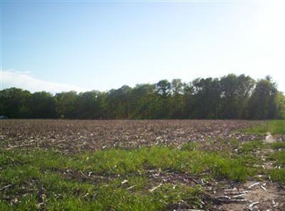 North Gravel Ridge Road Coral, MI 49322 - Photo 3 of 7 Additional Photo