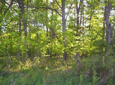 North Gravel Ridge Road Coral, MI 49322 - Photo 4 of 7 Additional Photo
