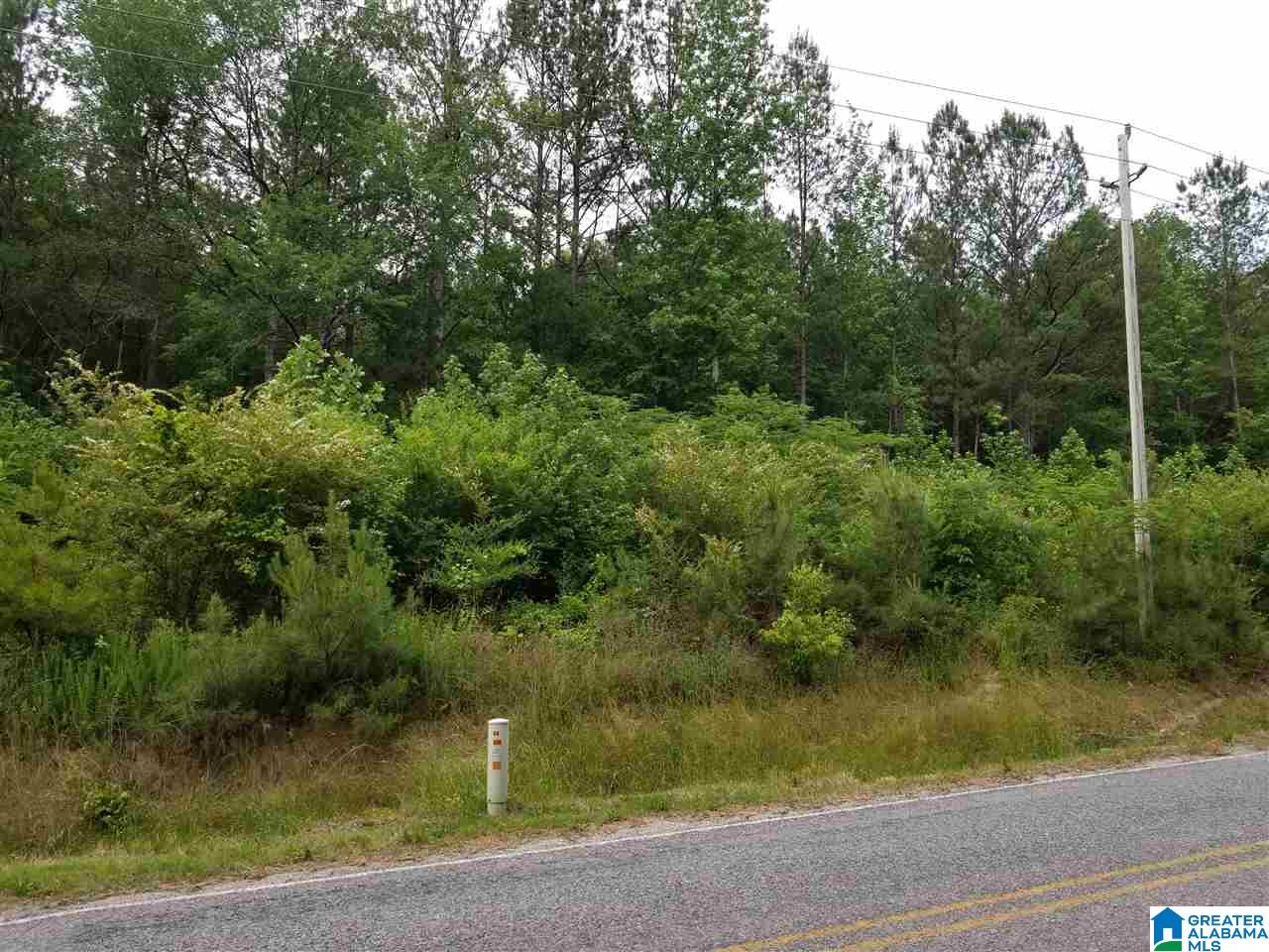 0 Rocky Hollow Road, Unit 12 Jacksonville, AL 36265 - Photo 4 of 15