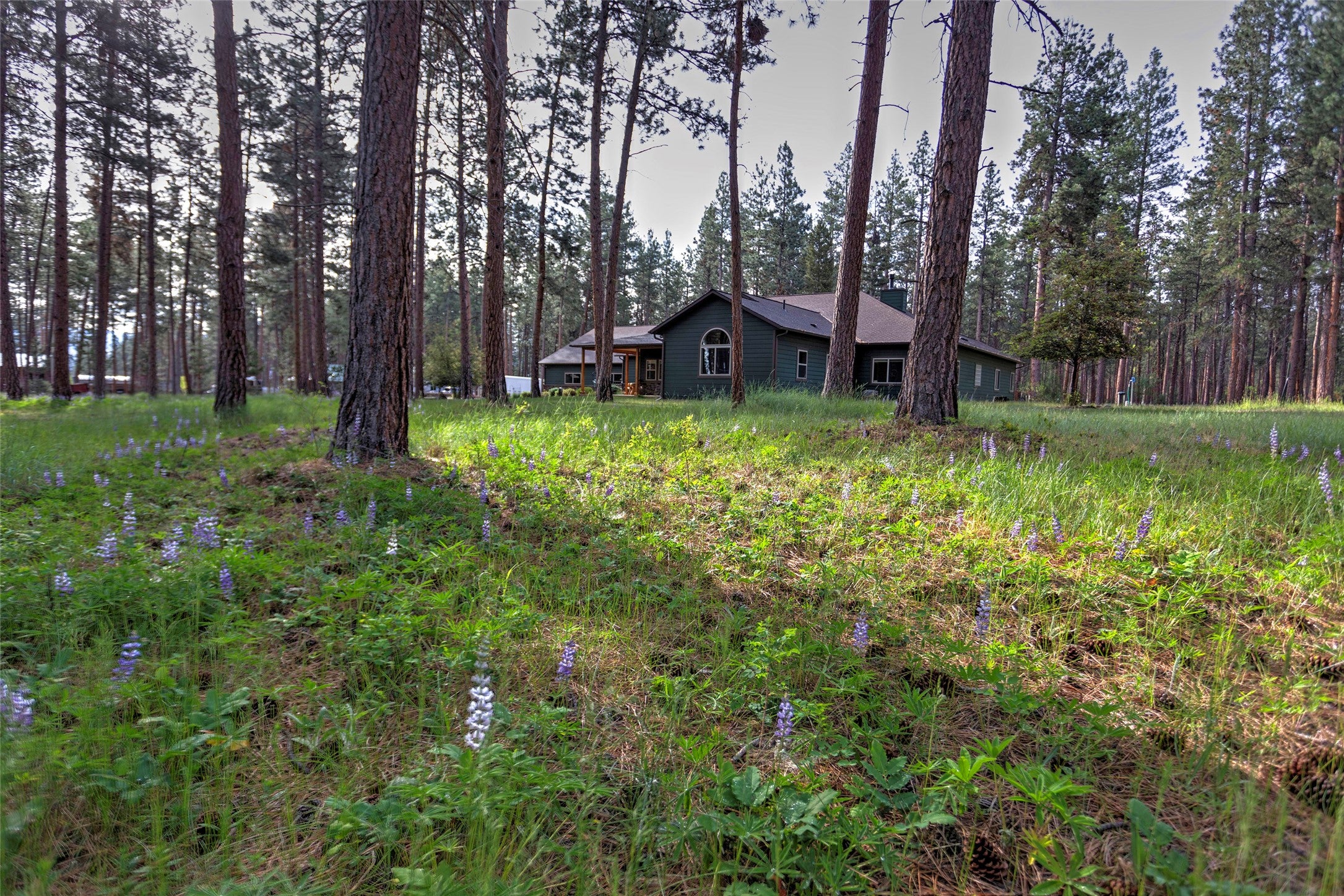 123 Mountain Goat Road Hamilton, MT 59840 - Photo 4 of 92 Gallery Image 4