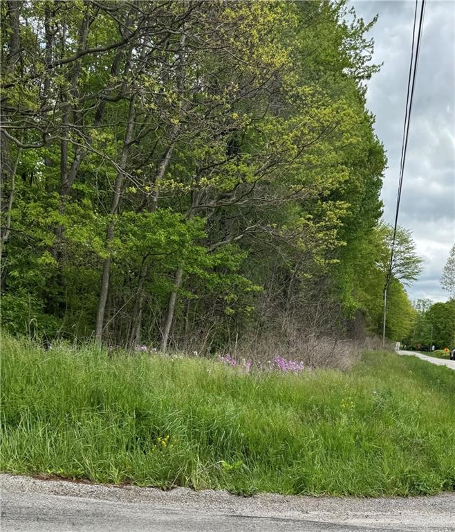 0 Mercer West Middlesex Road Mercer, PA 16137 - Photo 9 of 12 a view of a forest with a tree