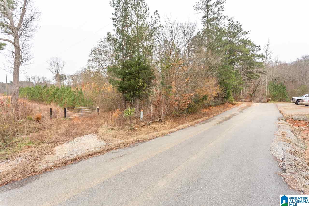511 Tally Ho Road Anniston, AL 36207 - Photo 9 of 11